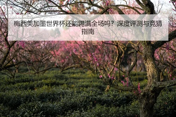 梅西美加墨世界杯还能踢满全场吗？深度评测与竞猜指南